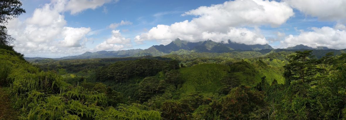 Hawaii: Kuilau Ridge Trail, Kauai